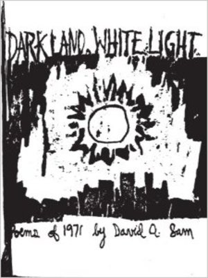 cover image of Dark Land, White Light